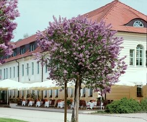 Bildrechte: Schlosshotel Pillnitz GmbH