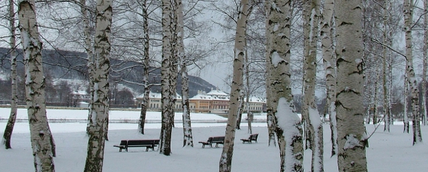 Pillnitz im Winter (Foto: pixabay.com)