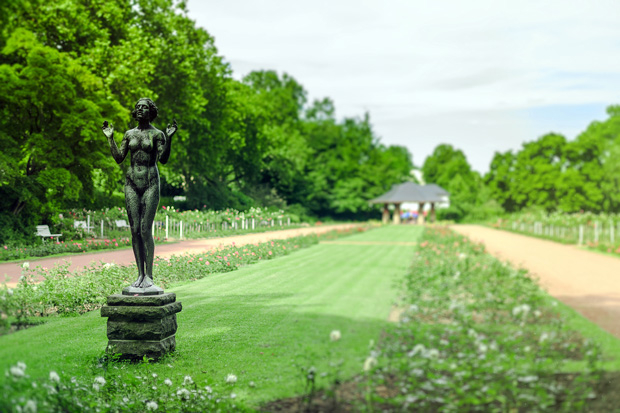 Natur & Idylle in Dresden