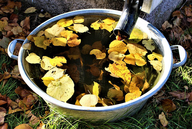 Regenwasser auffangen und sammeln