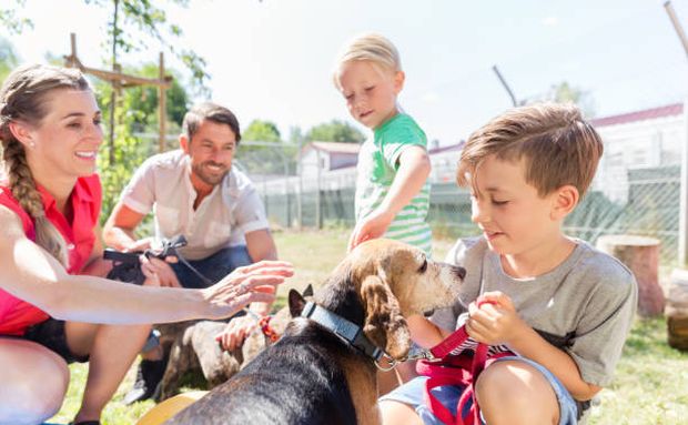 Tierheim Dresden und Umgebung